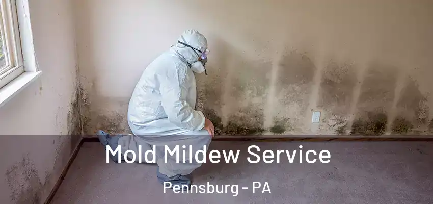 Mold Mildew Service Pennsburg - PA