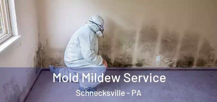  Mold Mildew Service Schnecksville - PA