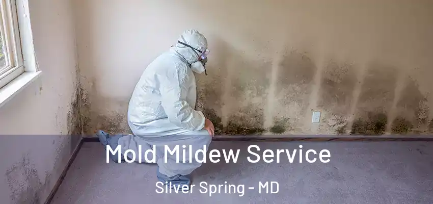 Mold Mildew Service Silver Spring - MD