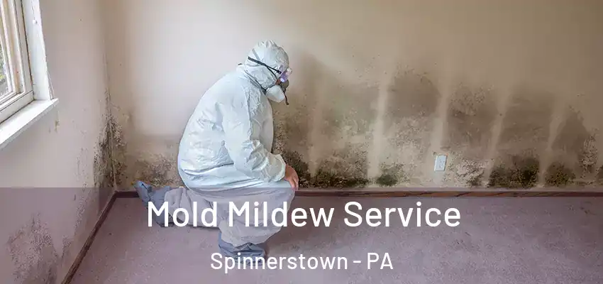 Mold Mildew Service Spinnerstown - PA