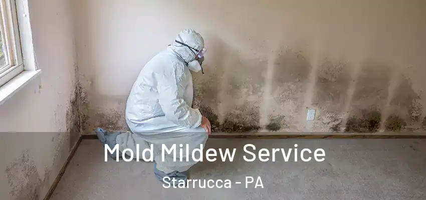 Mold Mildew Service Starrucca - PA