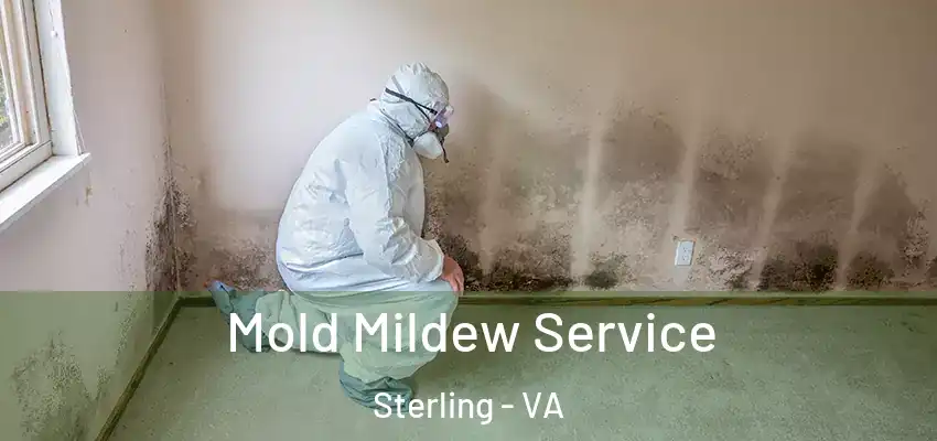 Mold Mildew Service Sterling - VA
