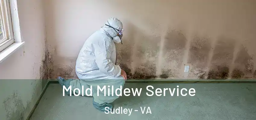 Mold Mildew Service Sudley - VA