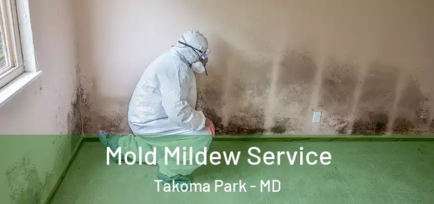  Mold Mildew Service Takoma Park - MD