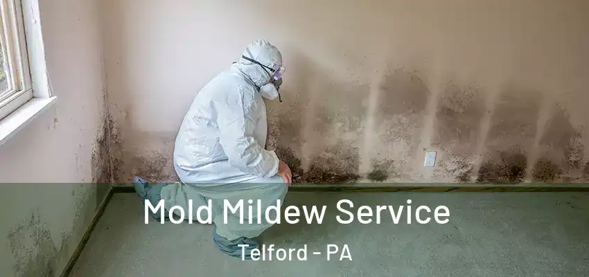 Mold Mildew Service Telford - PA