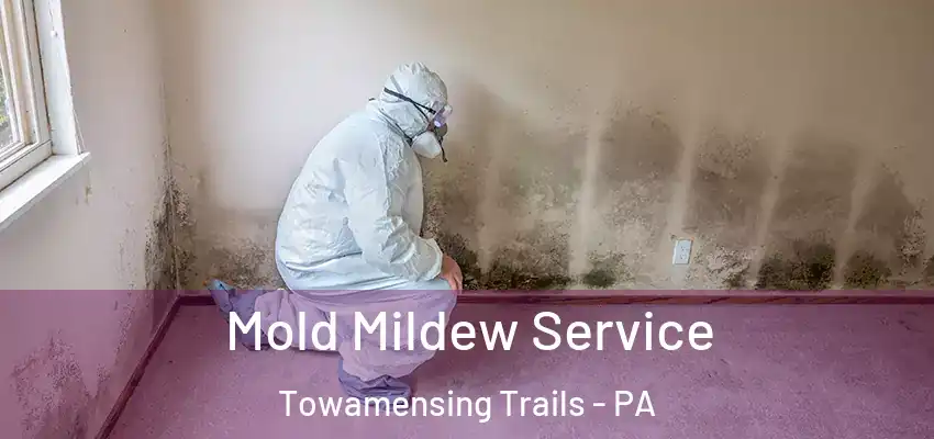 Mold Mildew Service Towamensing Trails - PA