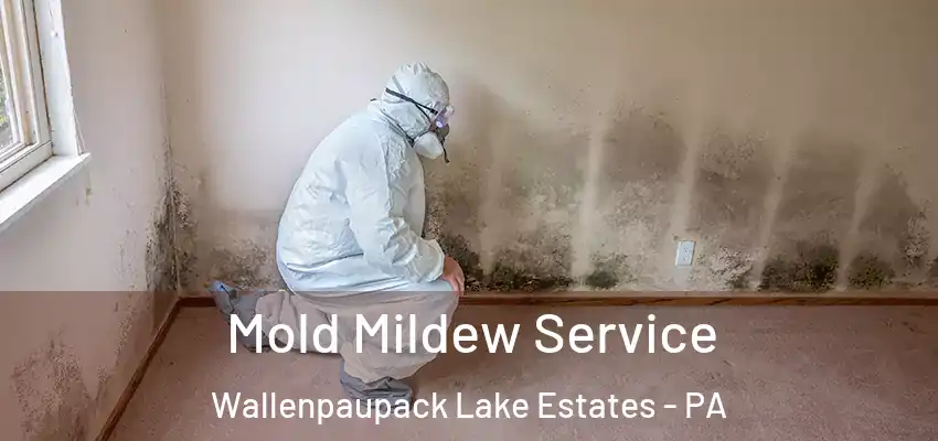 Mold Mildew Service Wallenpaupack Lake Estates - PA