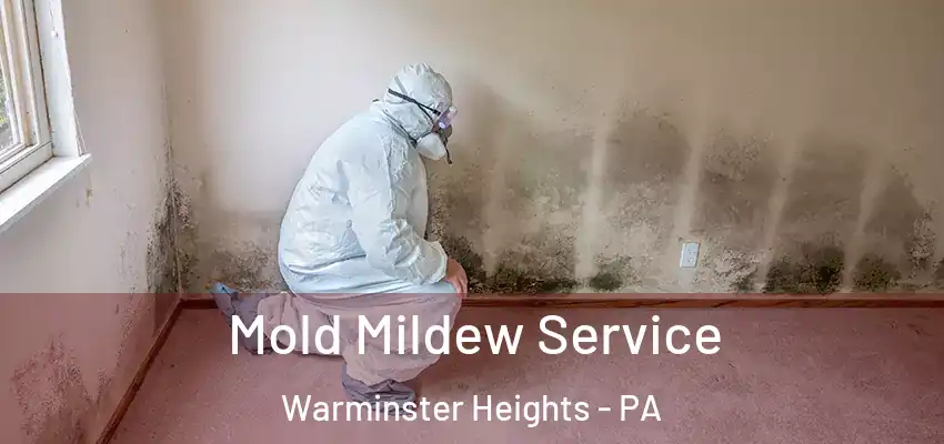 Mold Mildew Service Warminster Heights - PA
