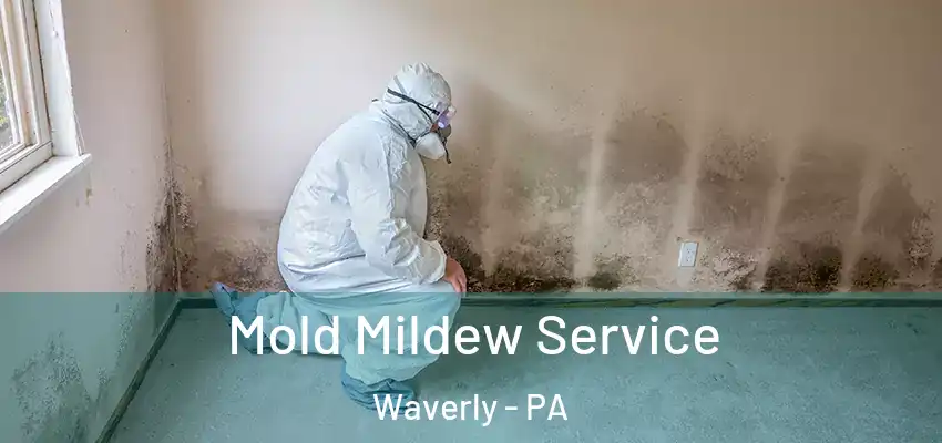  Mold Mildew Service Waverly - PA