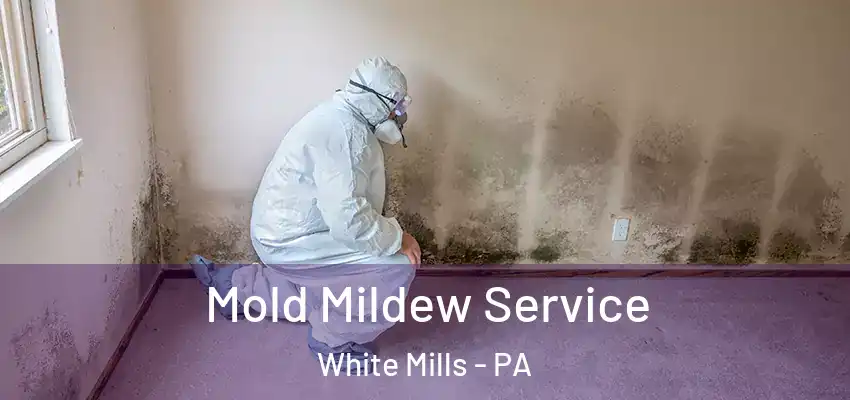  Mold Mildew Service White Mills - PA