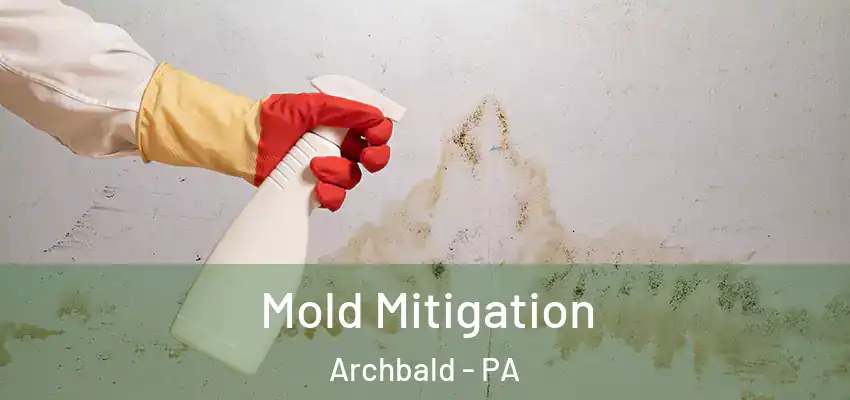  Mold Mitigation Archbald - PA