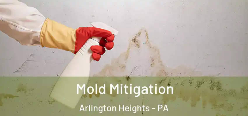 Mold Mitigation Arlington Heights - PA