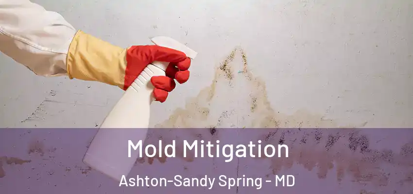 Mold Mitigation Ashton-Sandy Spring - MD