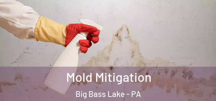  Mold Mitigation Big Bass Lake - PA