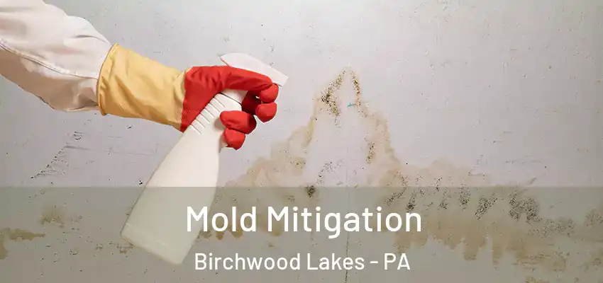  Mold Mitigation Birchwood Lakes - PA