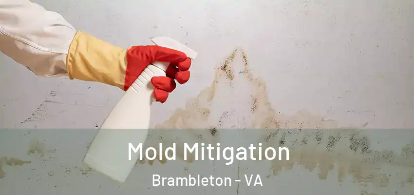  Mold Mitigation Brambleton - VA