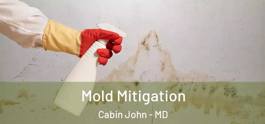  Mold Mitigation Cabin John - MD