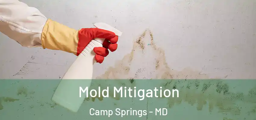 Mold Mitigation Camp Springs - MD