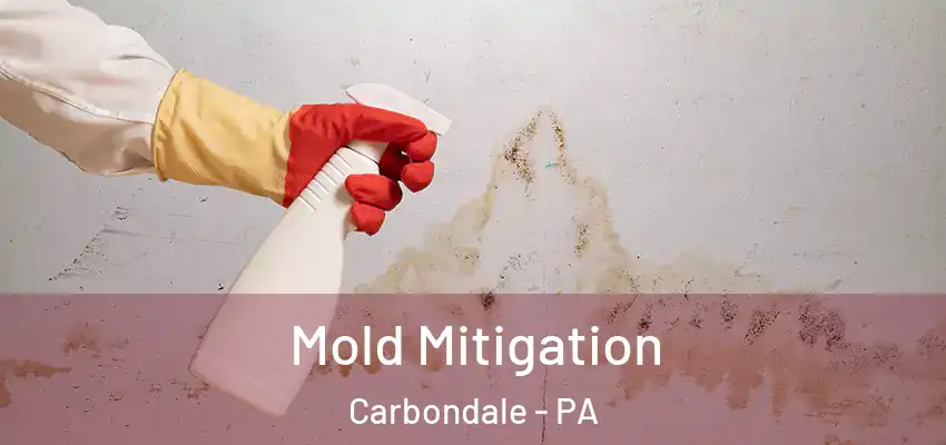 Mold Mitigation Carbondale - PA