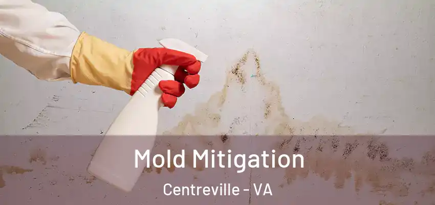  Mold Mitigation Centreville - VA