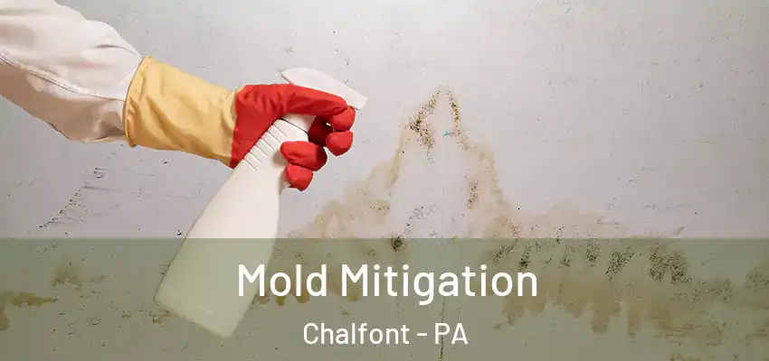  Mold Mitigation Chalfont - PA