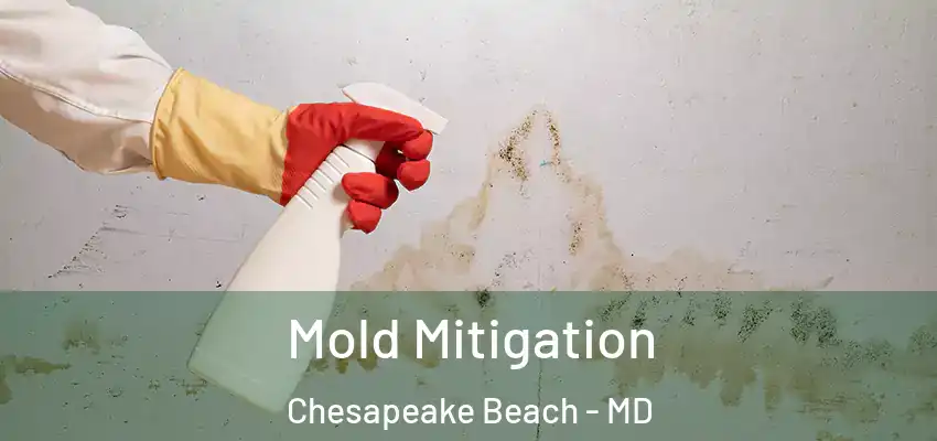 Mold Mitigation Chesapeake Beach - MD