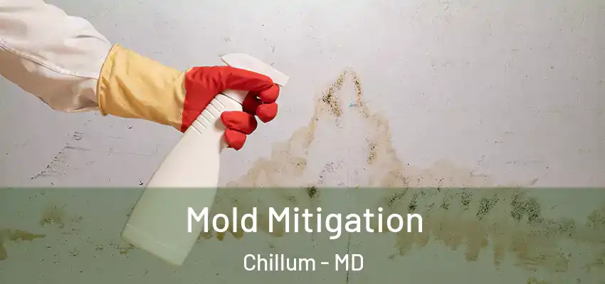  Mold Mitigation Chillum - MD