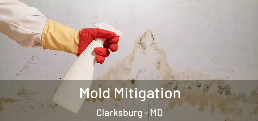  Mold Mitigation Clarksburg - MD