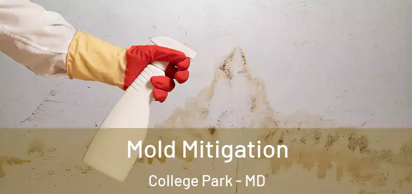  Mold Mitigation College Park - MD