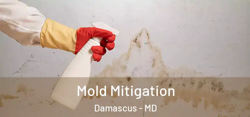 Mold Mitigation Damascus - MD