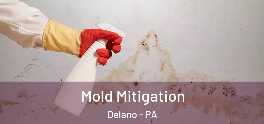 Mold Mitigation Delano - PA