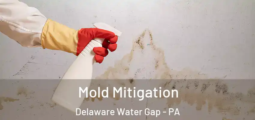 Mold Mitigation Delaware Water Gap - PA