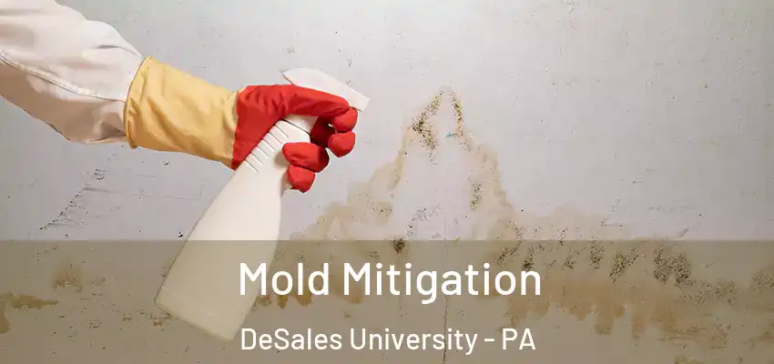Mold Mitigation DeSales University - PA