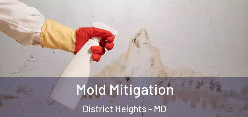 Mold Mitigation District Heights - MD