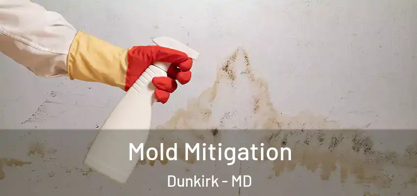  Mold Mitigation Dunkirk - MD