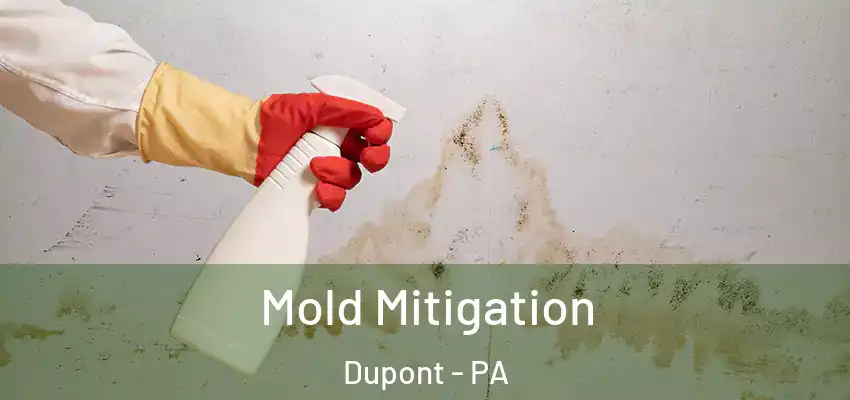  Mold Mitigation Dupont - PA