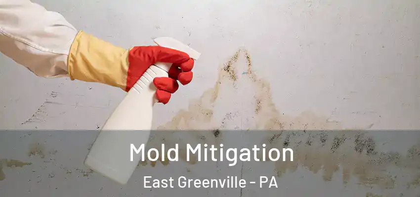 Mold Mitigation East Greenville - PA