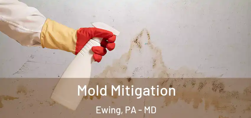  Mold Mitigation Ewing, PA - MD