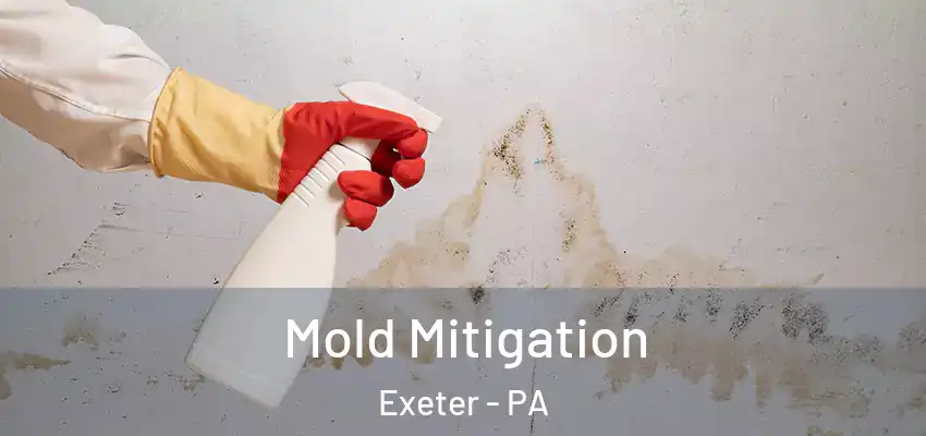  Mold Mitigation Exeter - PA