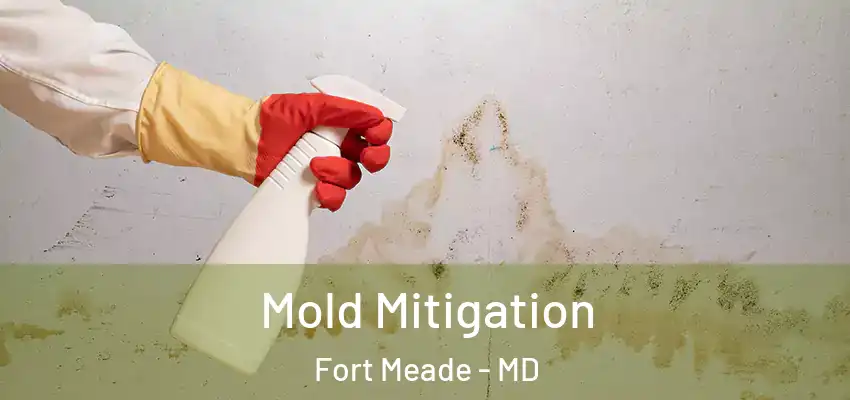 Mold Mitigation Fort Meade - MD