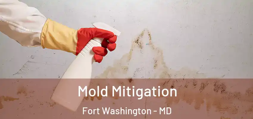 Mold Mitigation Fort Washington - MD