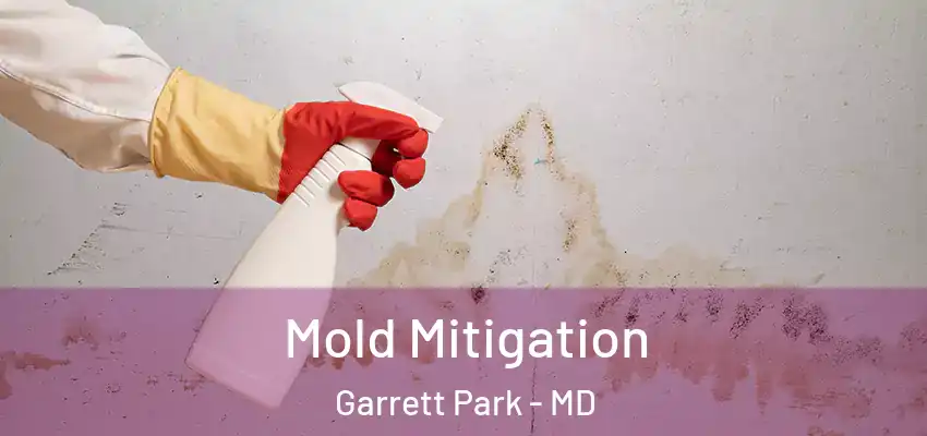 Mold Mitigation Garrett Park - MD