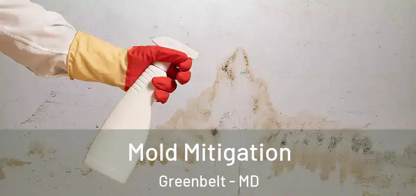 Mold Mitigation Greenbelt - MD