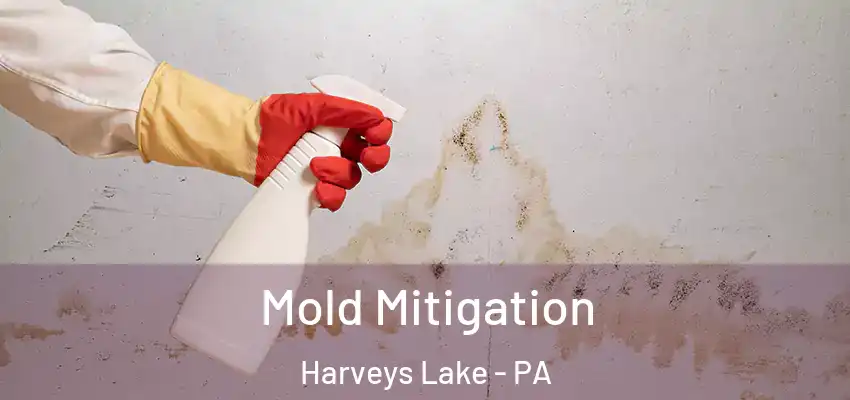 Mold Mitigation Harveys Lake - PA