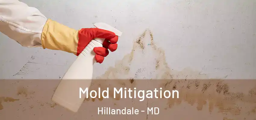 Mold Mitigation Hillandale - MD