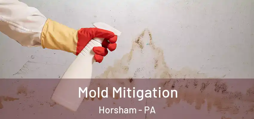 Mold Mitigation Horsham - PA