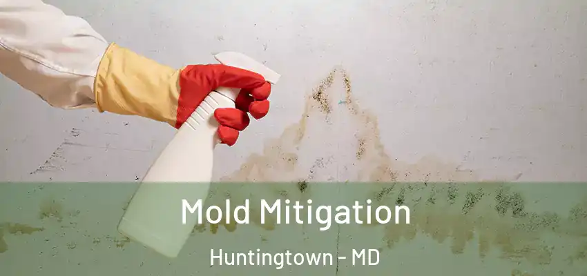 Mold Mitigation Huntingtown - MD