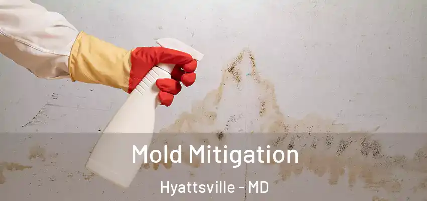 Mold Mitigation Hyattsville - MD