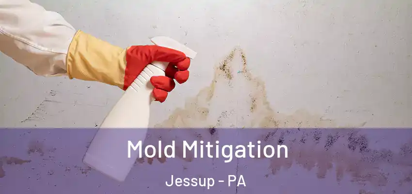 Mold Mitigation Jessup - PA