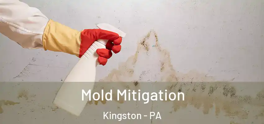Mold Mitigation Kingston - PA